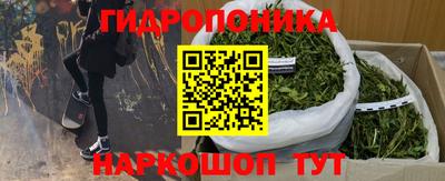дмт Ставрополь