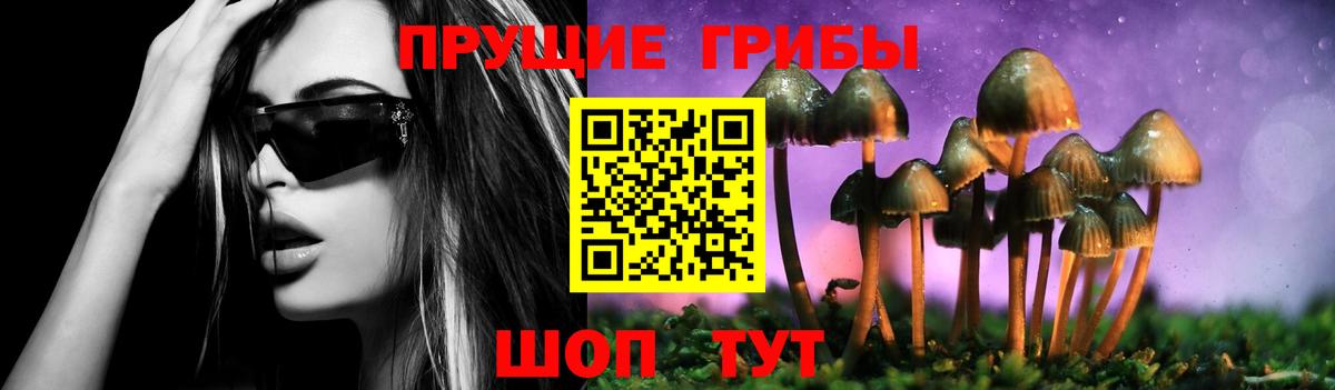 Галлюциногенные грибы Psilocybe  Вход с VPN  Первоуральск 